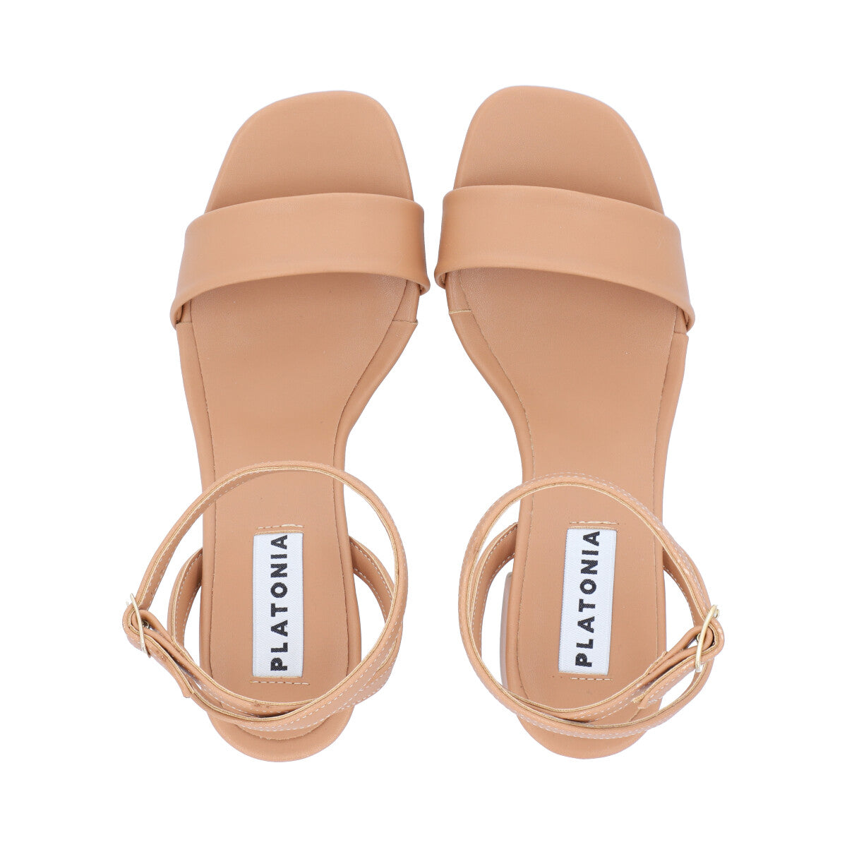 Lia Camel