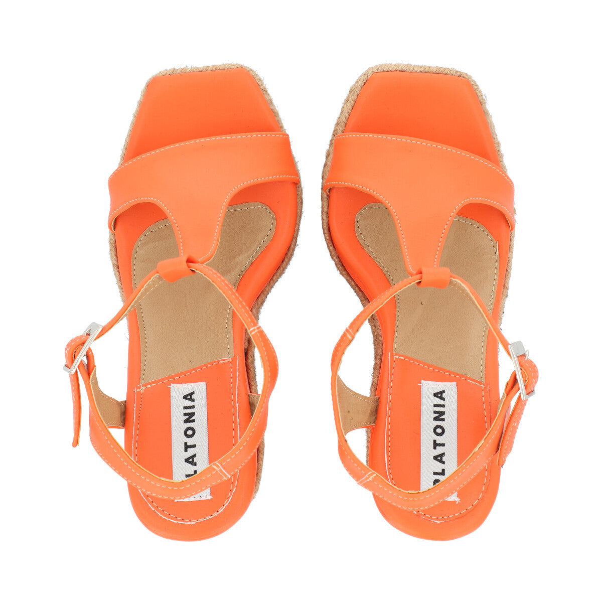 Cleopatra Naranja