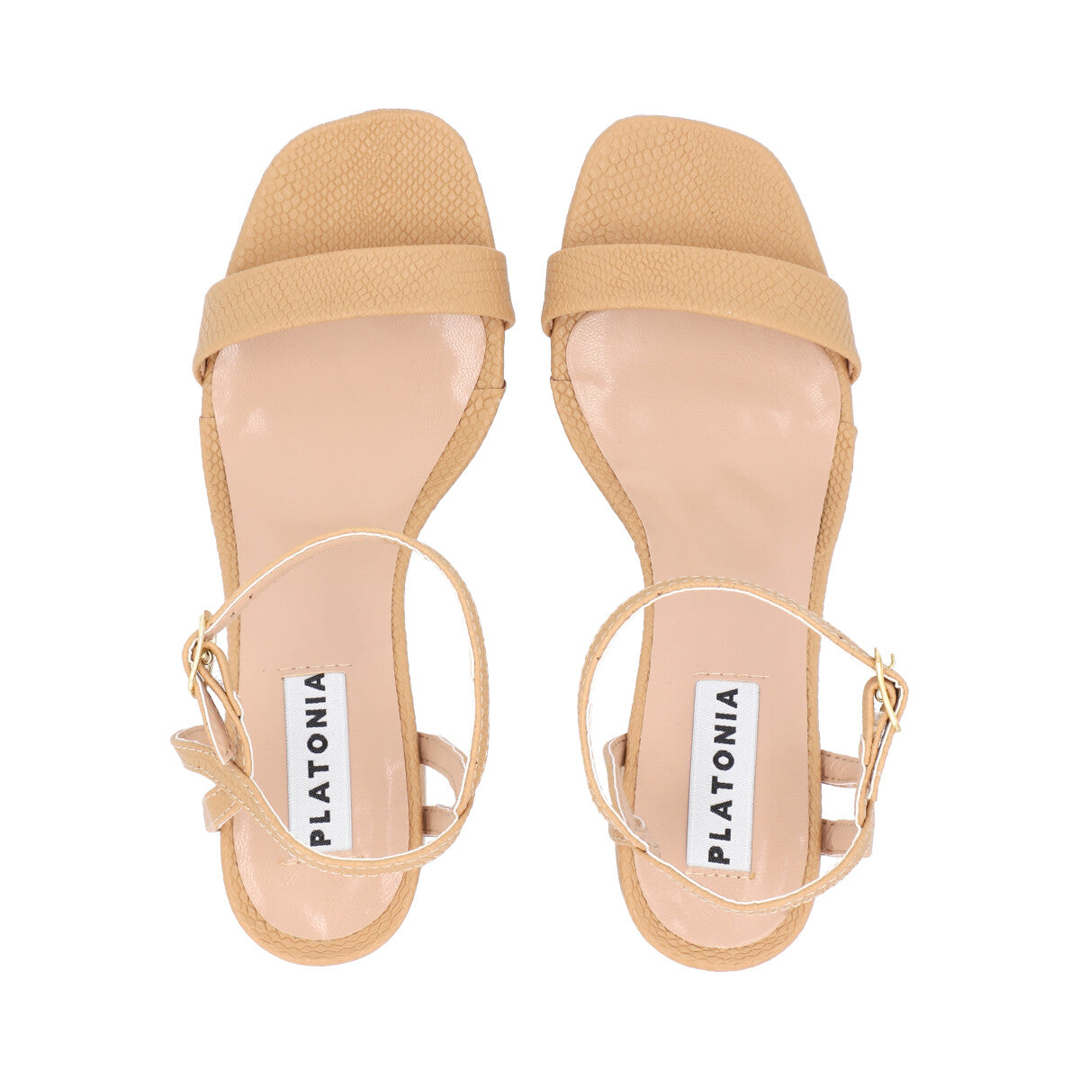 Magda Camel