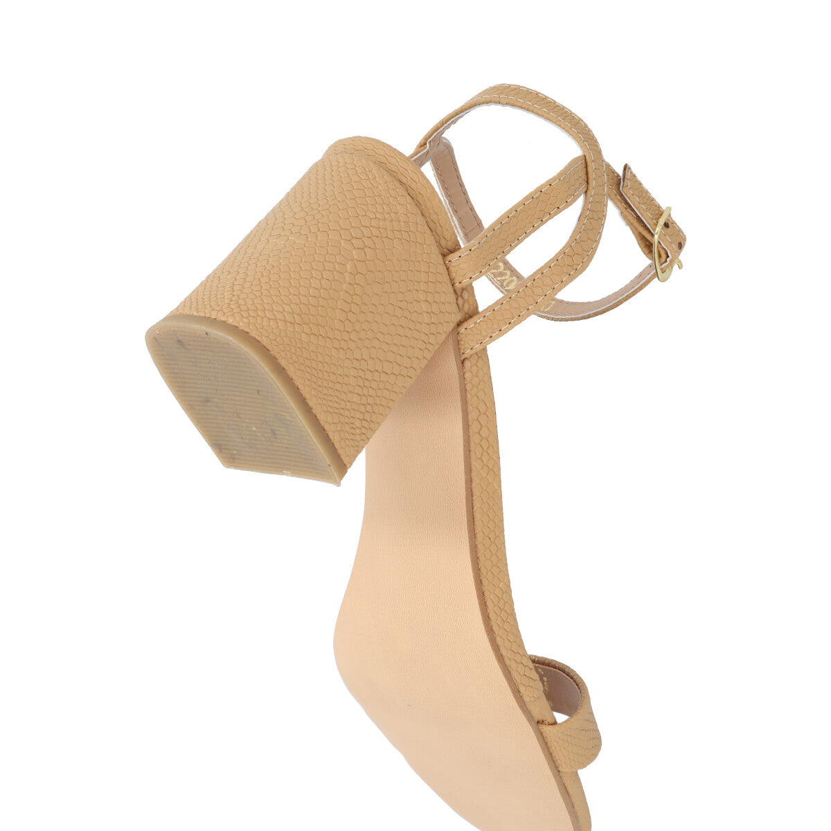Magda Camel