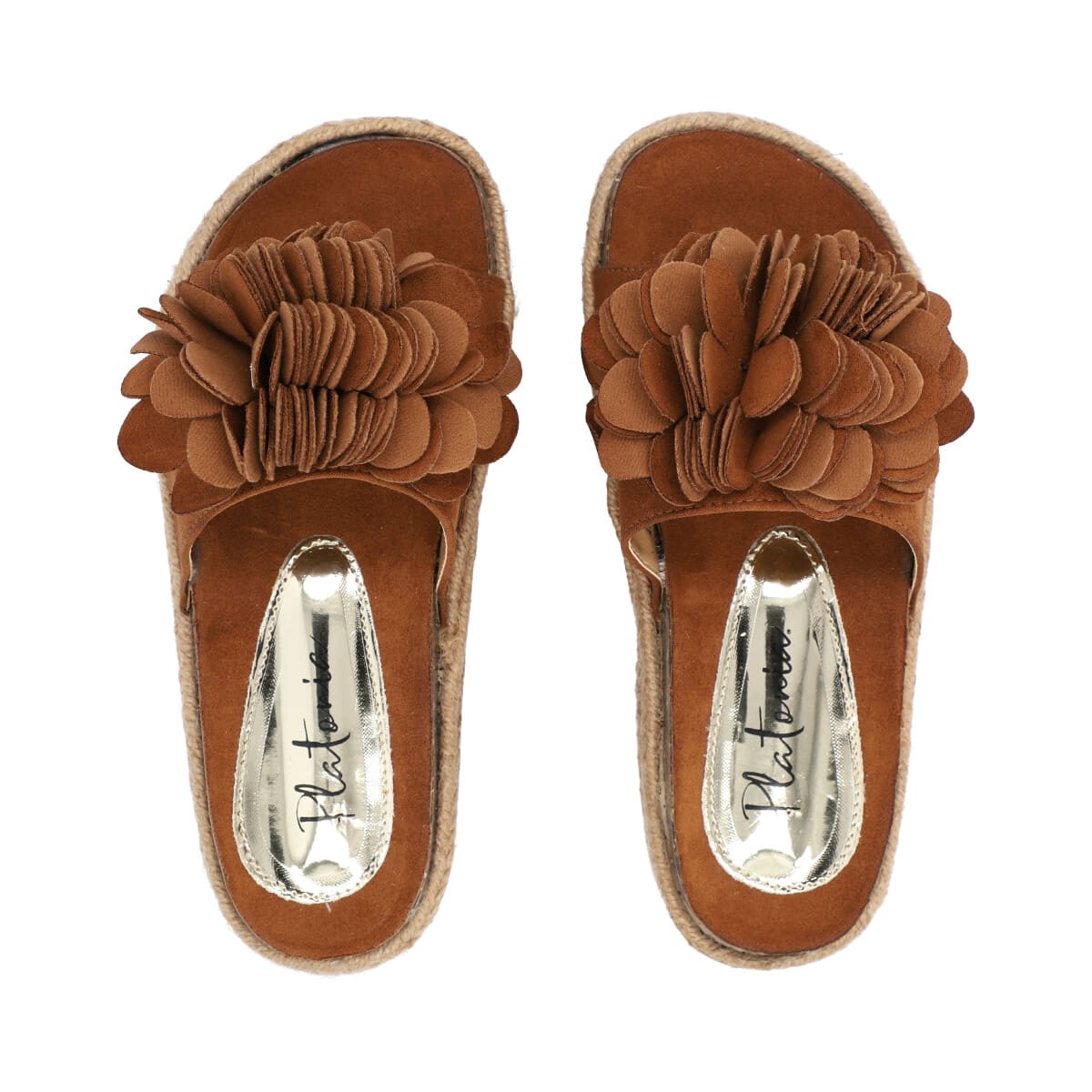 Miranda Camel