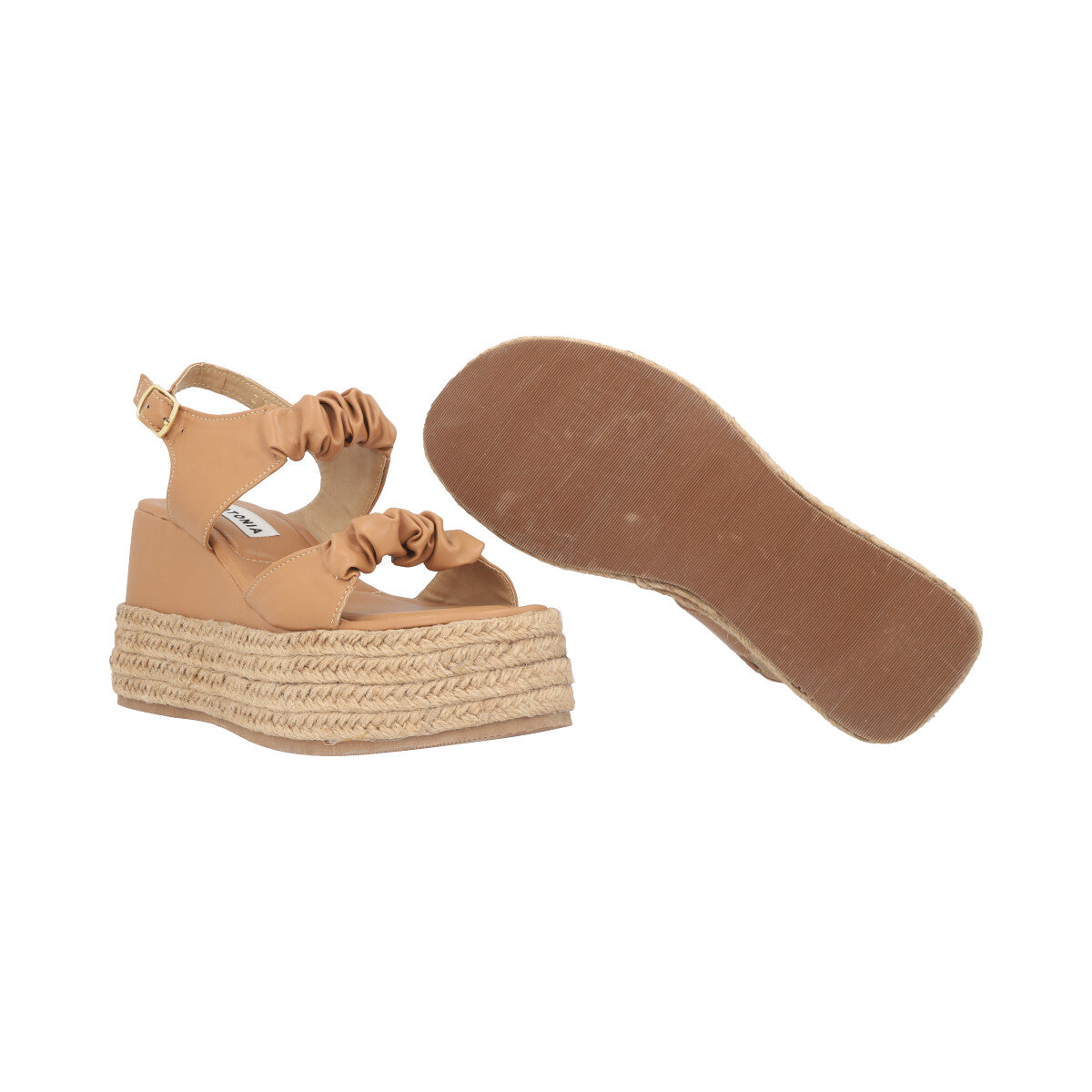 Ilse Camel