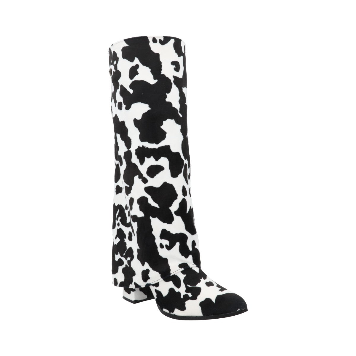 Chianina Negro