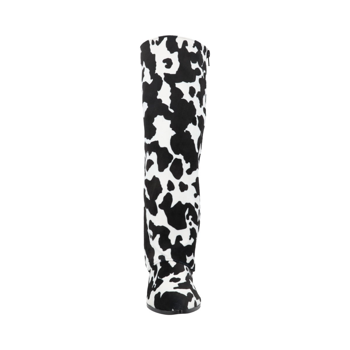 Chianina Negro