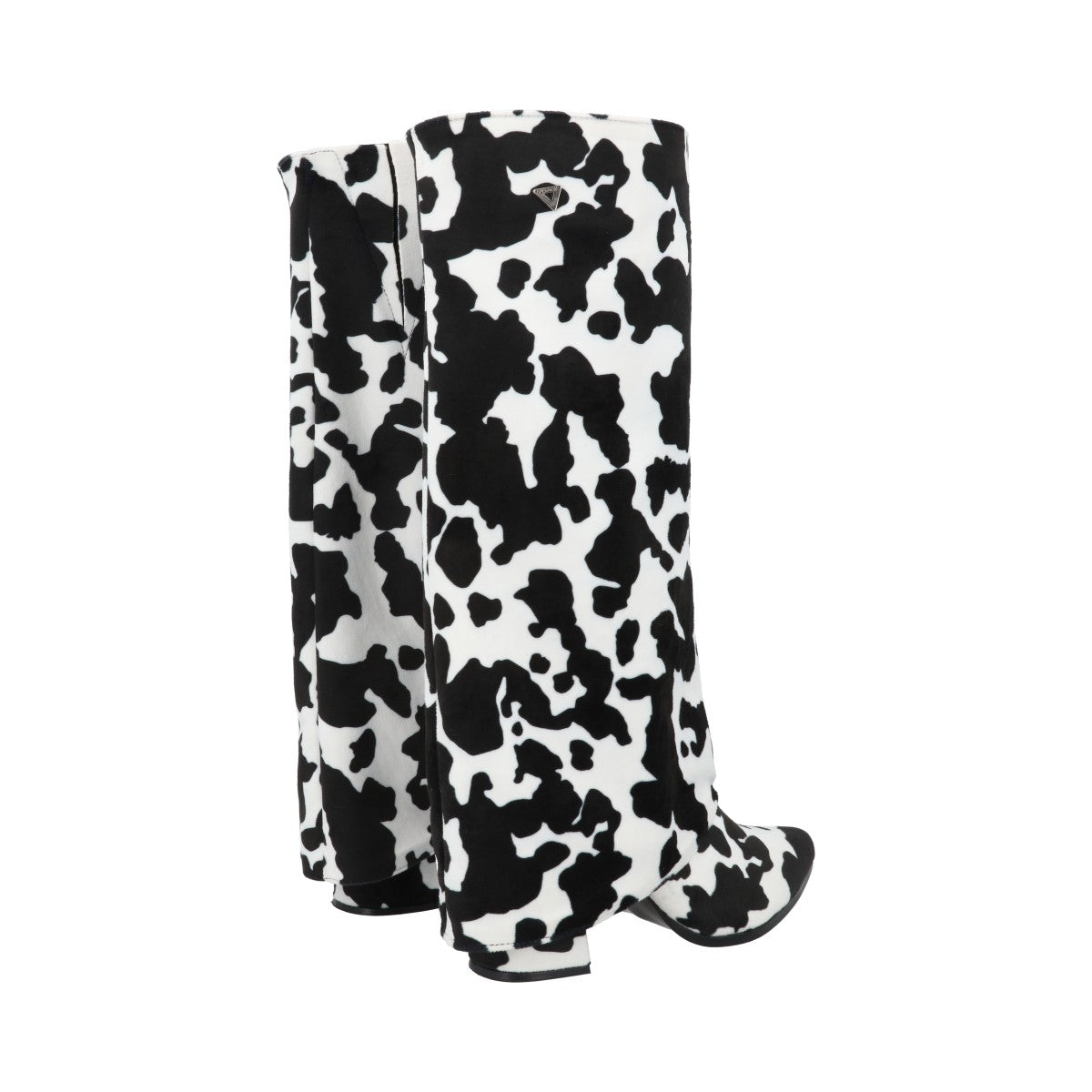 Chianina Negro